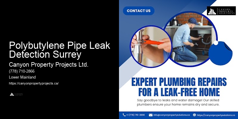 Polybutylene Pipe Issues Fixed Polybutylene Pipe Leak Detection Surrey
