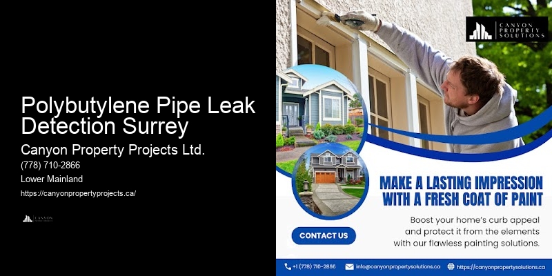 Polybutylene Pipe Replacement Techniques Polybutylene Pipe Leak Detection Surrey
