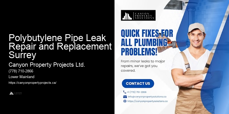 Polybutylene Pipe Leak Repair and Replacement Polybutylene Pipe Leak Repair and Replacement Surrey