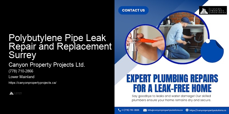 Polybutylene Pipe Leak Repair and Replacement Surrey Polybutylene Replacement for Water Efficiency