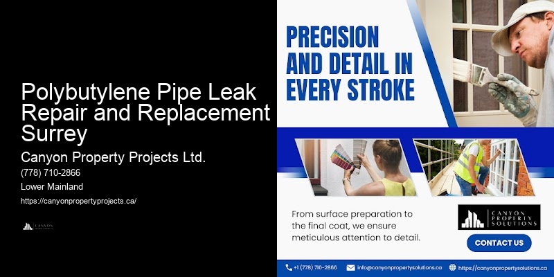 Polybutylene Pipe Replacement Experience Polybutylene Pipe Leak Repair and Replacement Surrey