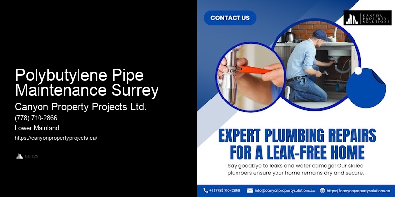 Polybutylene Plumbing Experts with Reviews Polybutylene Pipe Maintenance Surrey