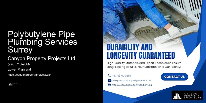 Polybutylene Water Pipe Replacement Polybutylene Pipe Plumbing Services Surrey