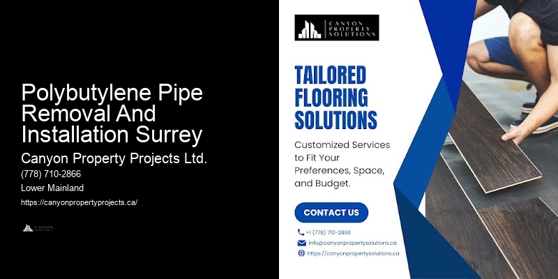 Local Polybutylene Pipe Replacement Services Polybutylene Pipe Removal And Installation Surrey