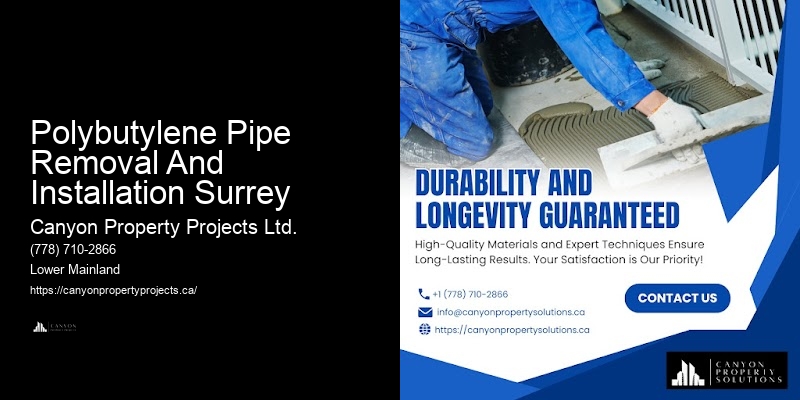 Certified Polybutylene Pipe Replacement Near Me