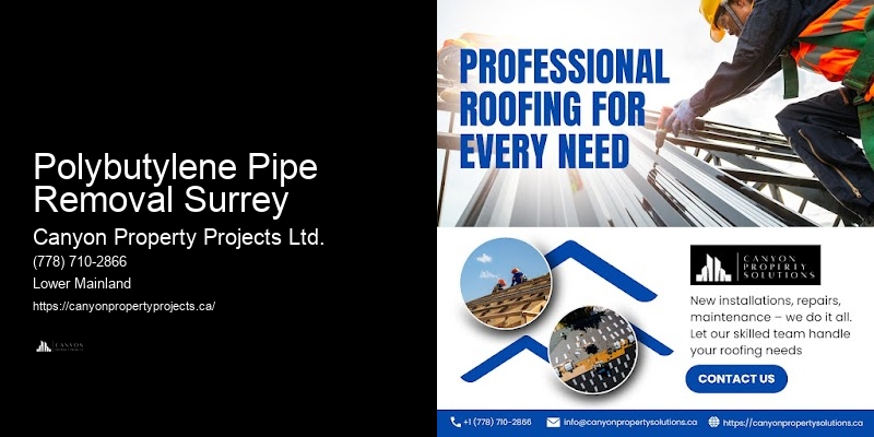 Polybutylene Pipe Replacement Polybutylene Pipe Removal Surrey for Rentals