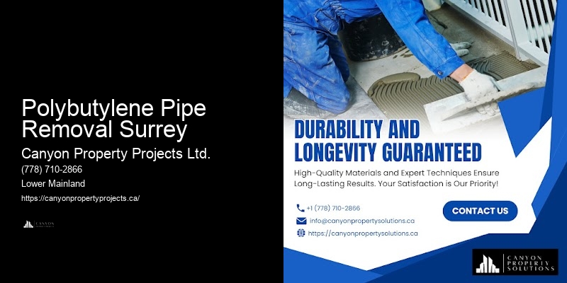 Polybutylene Pipe Repair Options Polybutylene Pipe Removal Surrey