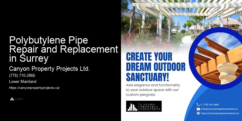 Modern Solutions for Polybutylene Plumbing Polybutylene Pipe Repair and Replacement in Surrey