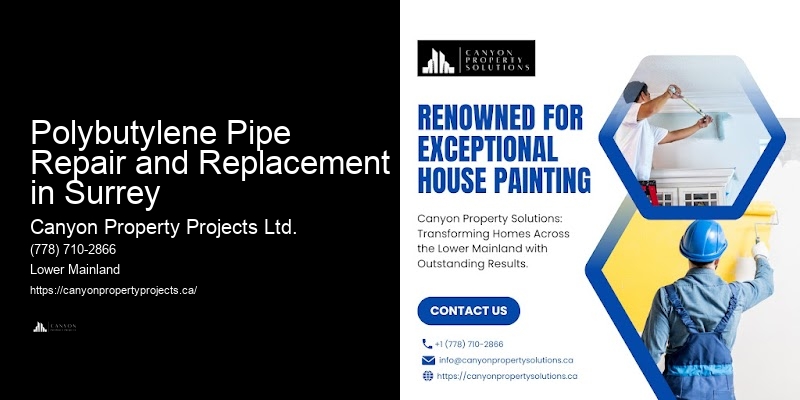 Polybutylene Pipe Installation Estimates Polybutylene Pipe Repair and Replacement in Surrey