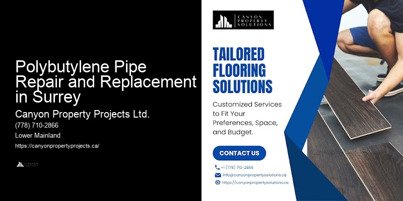 Expert Polybutylene Plumbing Polybutylene Pipe Repair and Replacement in Surrey
