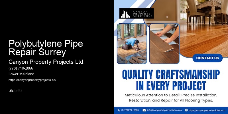 Best Polybutylene Replacement Companies Polybutylene Pipe Repair Surrey