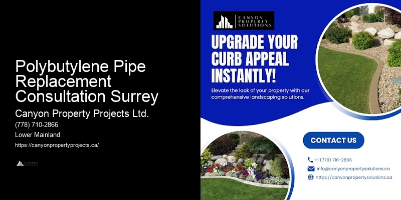 Polybutylene Plumbing Troubleshooting Tips Polybutylene Pipe Replacement Consultation Surrey