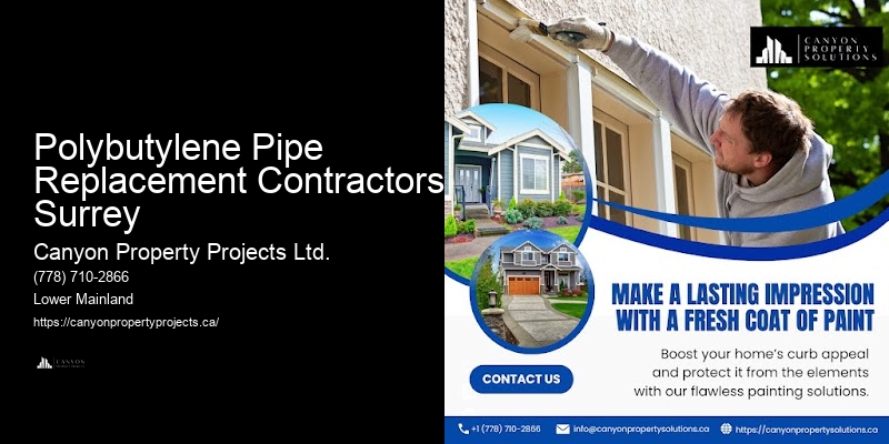 Polybutylene Pipe Inspection Checklist Polybutylene Pipe Replacement Contractors Surrey