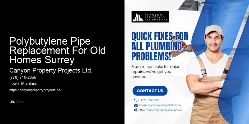 Polybutylene Pipe Replacement Quotes Polybutylene Pipe Replacement For Old Homes Surrey