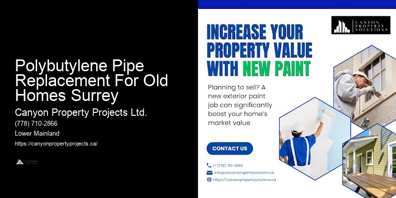 Best Polybutylene Replacement Reviews Polybutylene Pipe Replacement For Old Homes Surrey