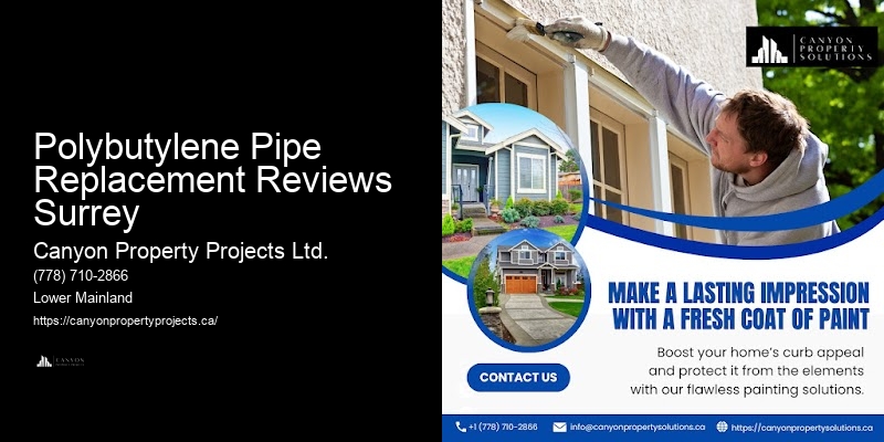 Polybutylene Pipe Replacement Specialists Near Me