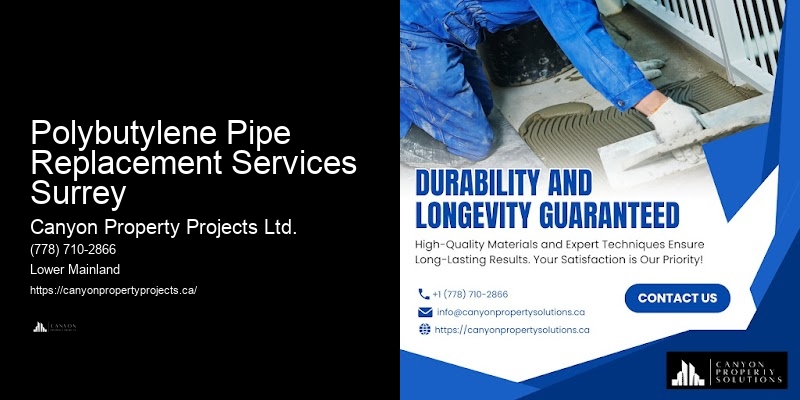 Polybutylene Pipe Service Warranties Polybutylene Pipe Replacement Services Surrey