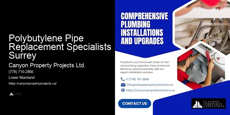 Polybutylene Pipe Replacement Specialists Surrey Certified Plumbers for Polybutylene