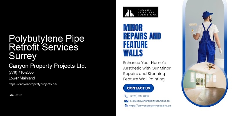 Polybutylene Pipe Replacement for Homes Polybutylene Pipe Retrofit Services Surrey