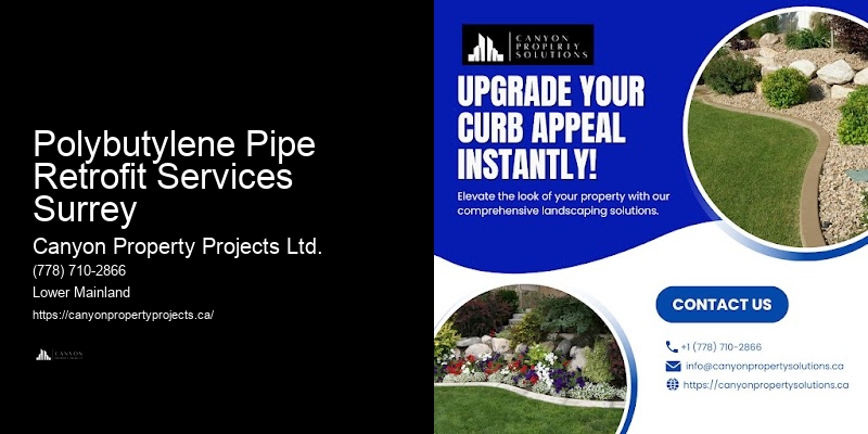Polybutylene Plumbing Service Packages Polybutylene Pipe Retrofit Services Surrey