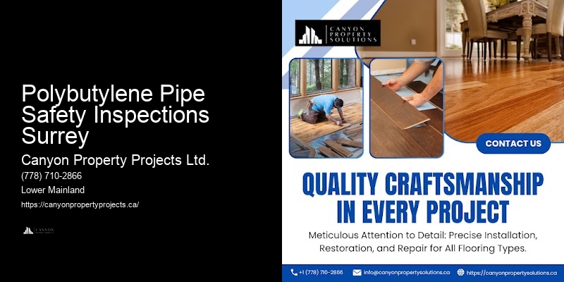Polybutylene Pipe Safety Inspections Surrey Plumbing Repair Specialists