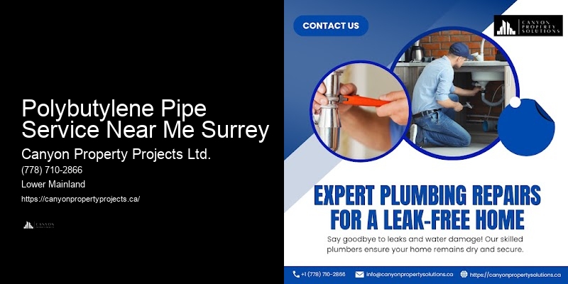 Polybutylene Plumbing Upgrade Polybutylene Pipe Service Near Me Surrey