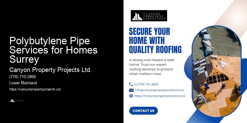 Polybutylene Pipe System Replacement Polybutylene Pipe Services for Homes Surrey