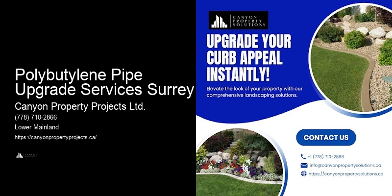 Polybutylene Pipe Leak Detection Polybutylene Pipe Upgrade Services Surrey