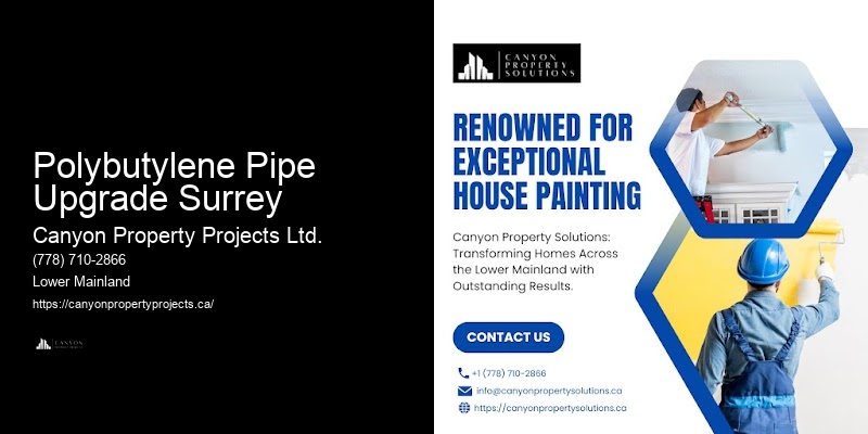 Preventative Polybutylene Pipe Upgrades Polybutylene Pipe Upgrade Surrey