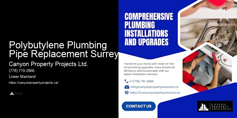 Polybutylene Plumbing Troubleshooting Polybutylene Plumbing Pipe Replacement Surrey