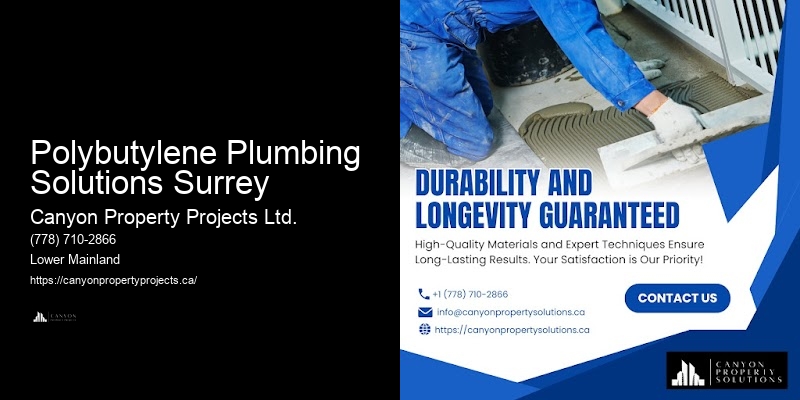 Detailed Polybutylene Plumbing Inspections Polybutylene Plumbing Solutions Surrey