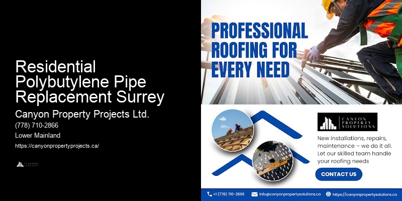 Polybutylene Pipe System Evaluation Residential Polybutylene Pipe Replacement Surrey