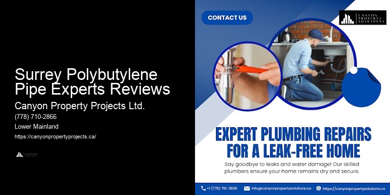 Polybutylene Pipe Inspection Checklist Surrey Polybutylene Pipe Experts Reviews