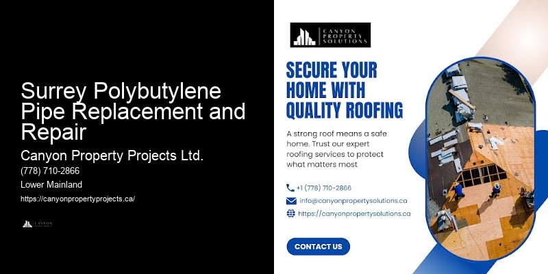 Polybutylene Pipe Replacement for Older Homes Surrey Polybutylene Pipe Replacement and Repair