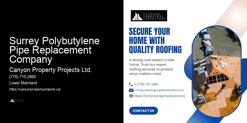 Polybutylene Plumbing Solutions for Leaks Surrey Polybutylene Pipe Replacement Company