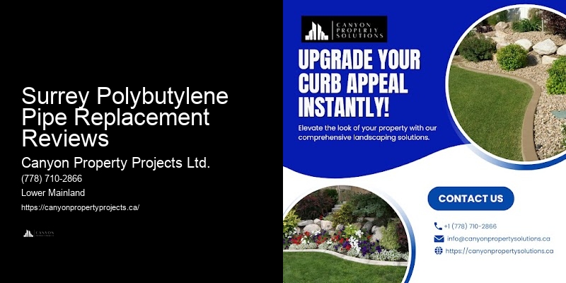 Polybutylene Pipe Issues Fixed Surrey Polybutylene Pipe Replacement Reviews