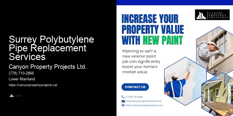 Reliable Polybutylene Pipe Replacement and Repair Near Me