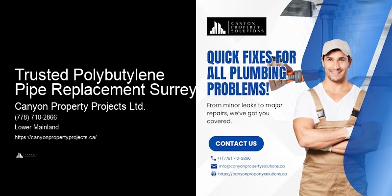 Trusted Polybutylene Pipe Replacement Surrey