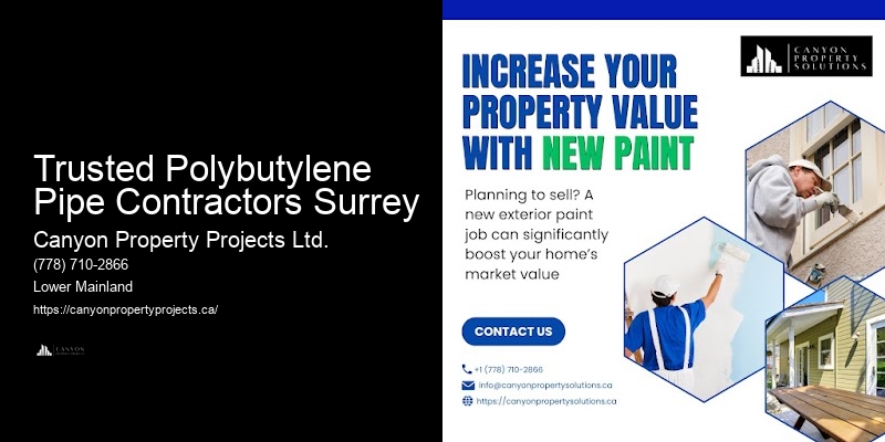 Polybutylene Pipe Inspections Trusted Polybutylene Pipe Contractors Surrey