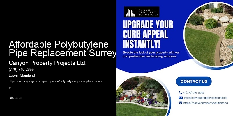 Polybutylene Pipe Safety Issues Affordable Polybutylene Pipe Replacement Surrey