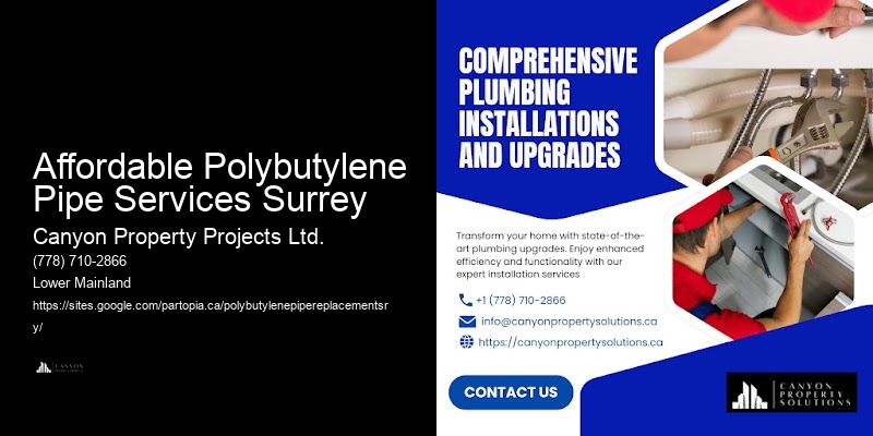 Affordable Polybutylene Pipe Services Surrey Polybutylene Pipe System Upgrades