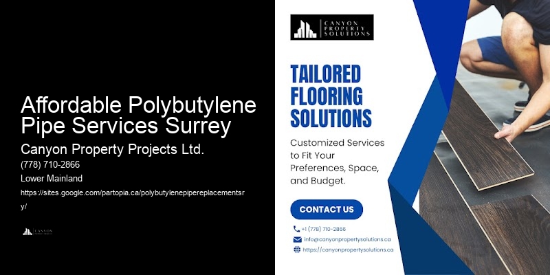 Best Polybutylene Replacement Companies Affordable Polybutylene Pipe Services Surrey