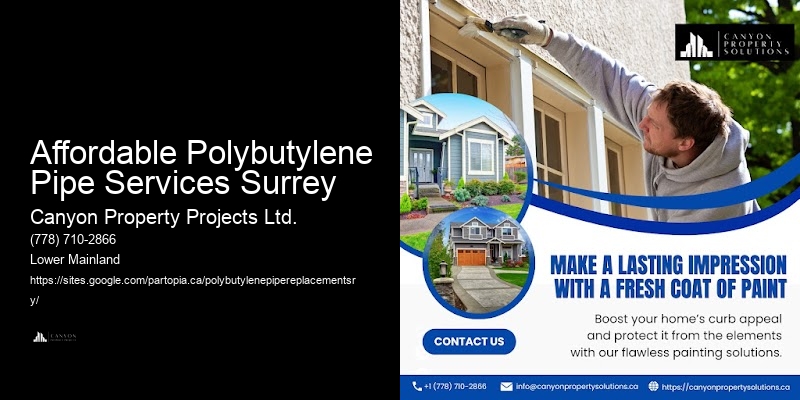 Polybutylene Pipe Replacement with Minimal Disruption Affordable Polybutylene Pipe Services Surrey