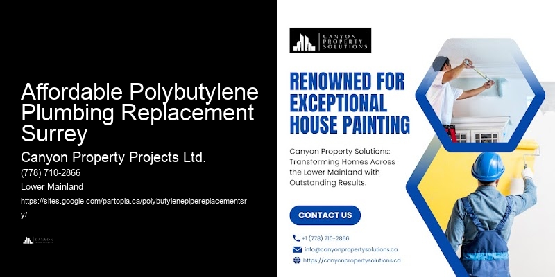 Polybutylene Pipe Connection Repair Affordable Polybutylene Plumbing Replacement Surrey