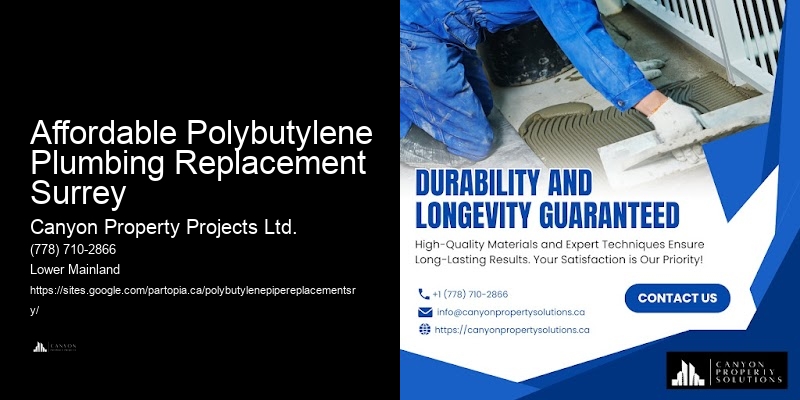 Polybutylene Pipe Leak Prevention Affordable Polybutylene Plumbing Replacement Surrey