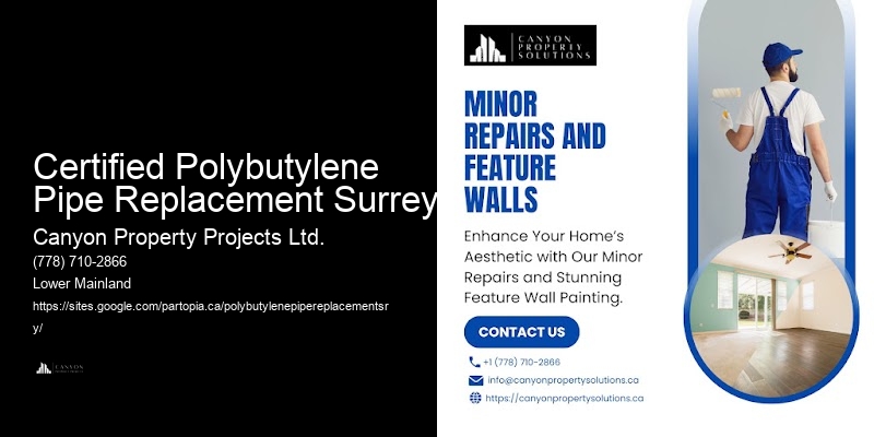 Polybutylene Pipe Retrofitting Certified Polybutylene Pipe Replacement Surrey