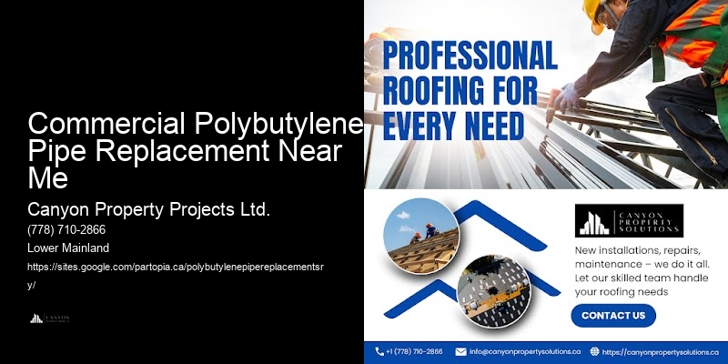 Licensed Polybutylene Replacement Companies Commercial Polybutylene Pipe Replacement Near Me
