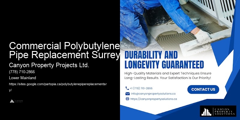 Detailed Polybutylene Replacement Estimates Commercial Polybutylene Pipe Replacement Surrey