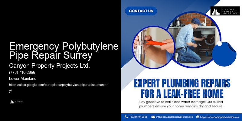 Detailed Polybutylene Replacement Service Emergency Polybutylene Pipe Repair Surrey
