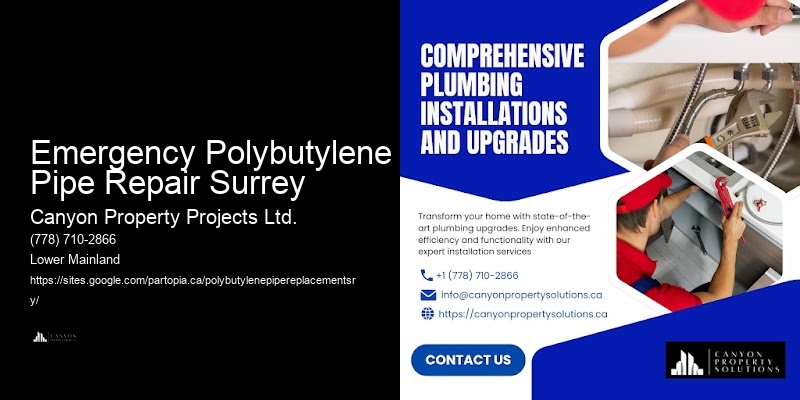 Polybutylene Pipe Replacement Assessment Emergency Polybutylene Pipe Repair Surrey
